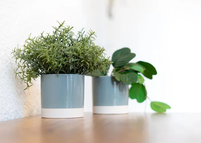 Appartunique - Chez Murillo Apartment