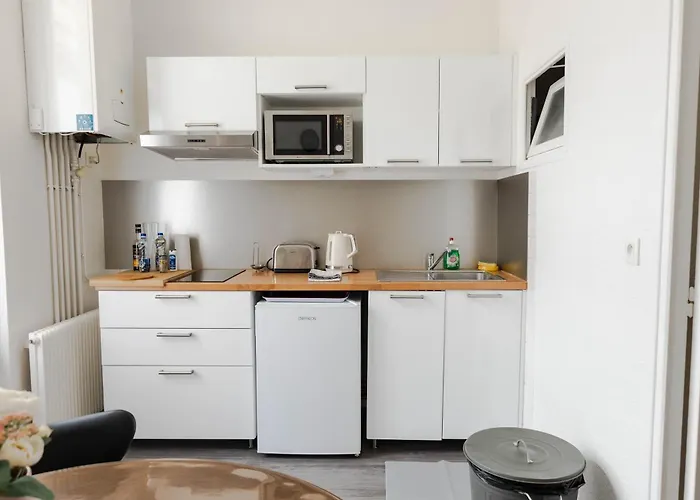 Appartunique - Chez Murillo * Виши